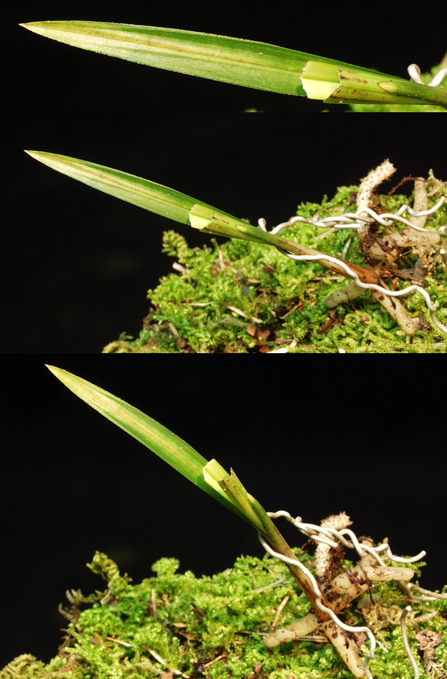 ������ ū������ �� �� �ֽ��ϴ�.