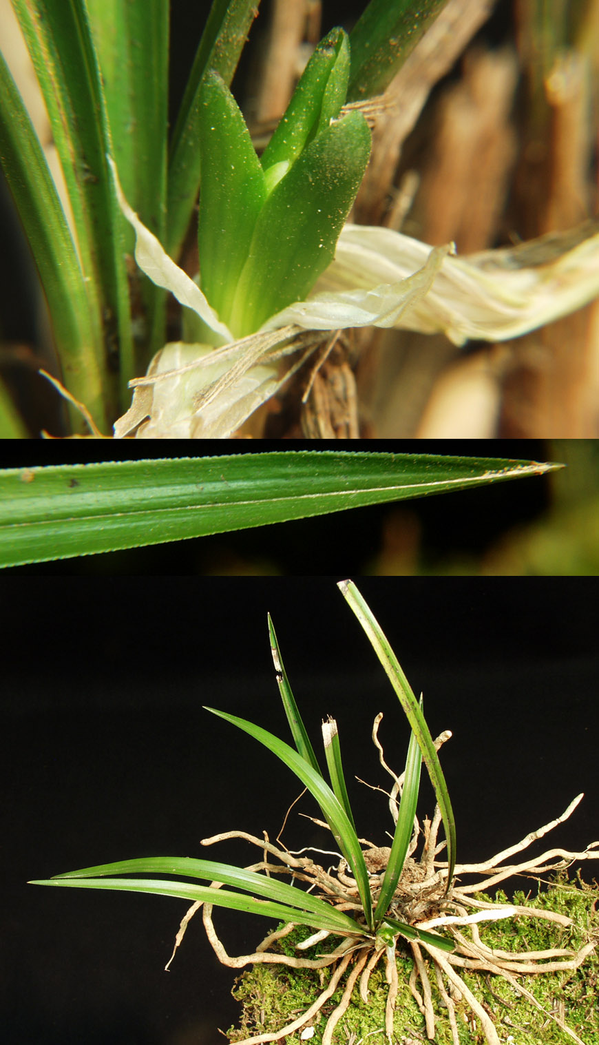 ������ ū������ �� �� �ֽ��ϴ�.