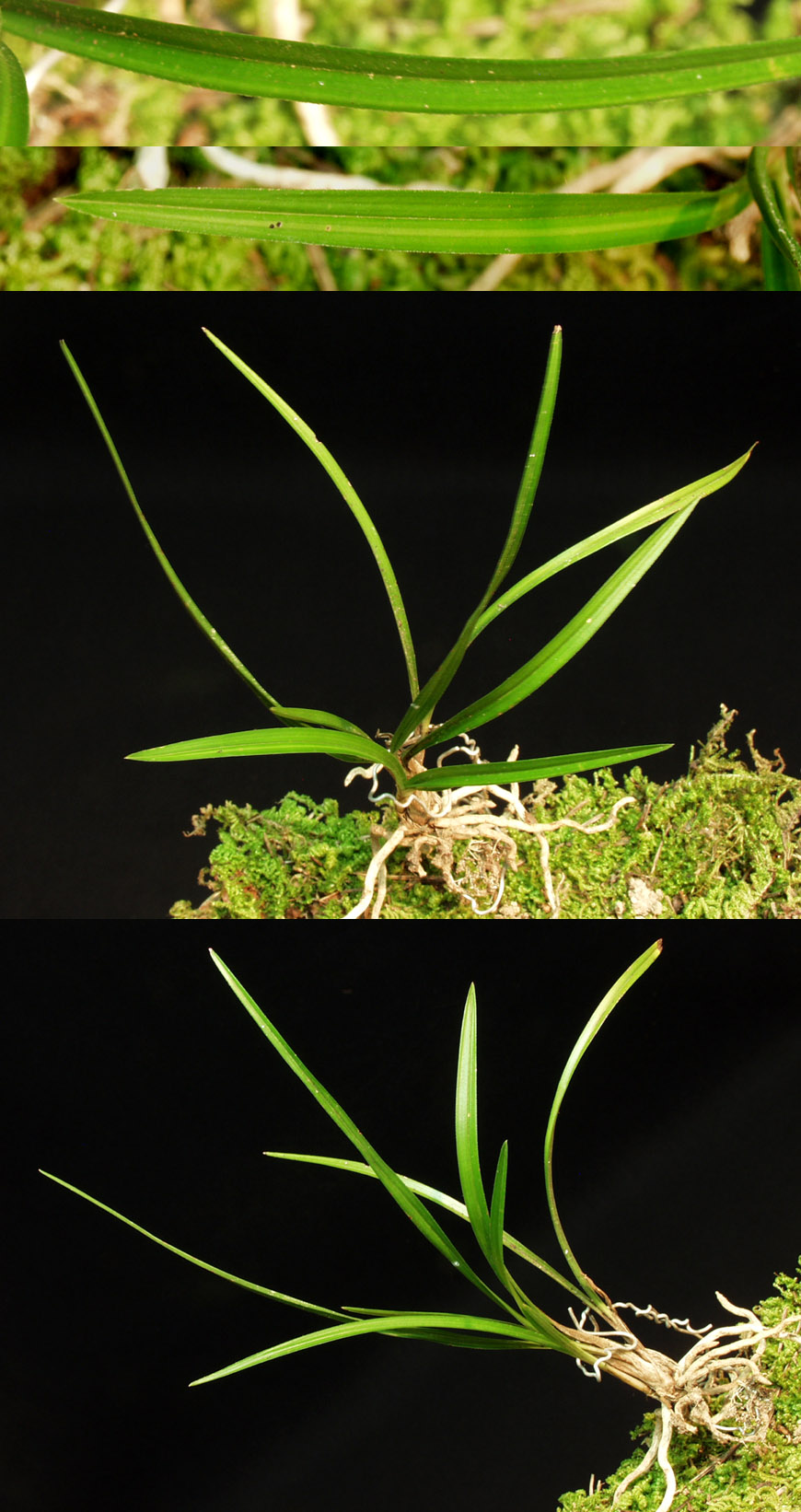 ������ ū������ �� �� �ֽ��ϴ�.