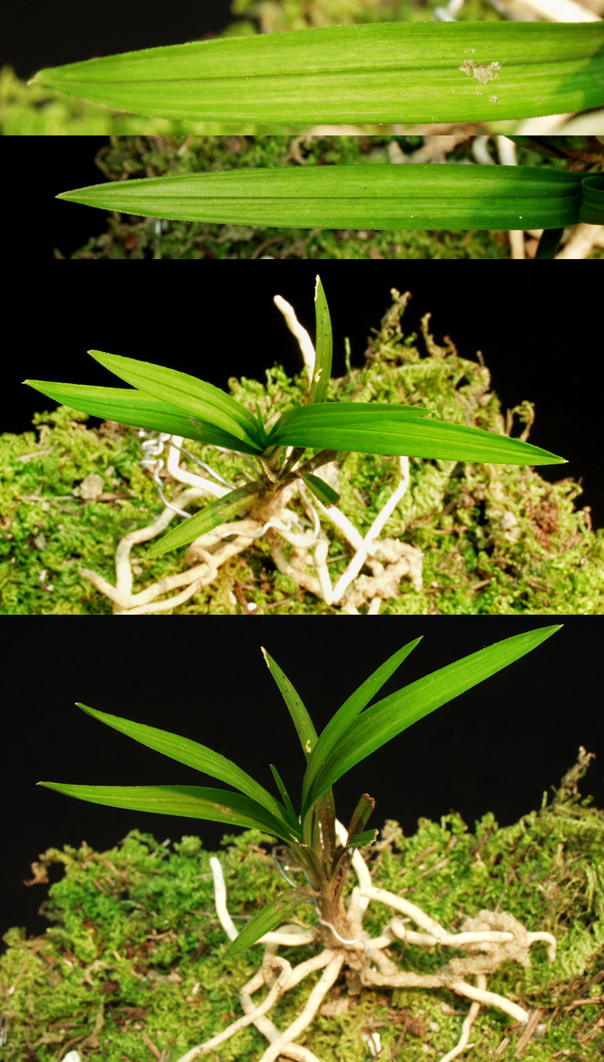 ������ ū������ �� �� �ֽ��ϴ�.