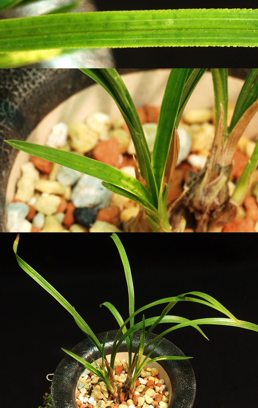 ������ ū������ �� �� �ֽ��ϴ�.