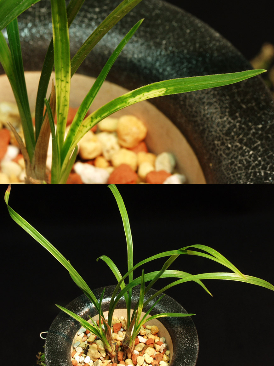 ������ ū������ �� �� �ֽ��ϴ�.