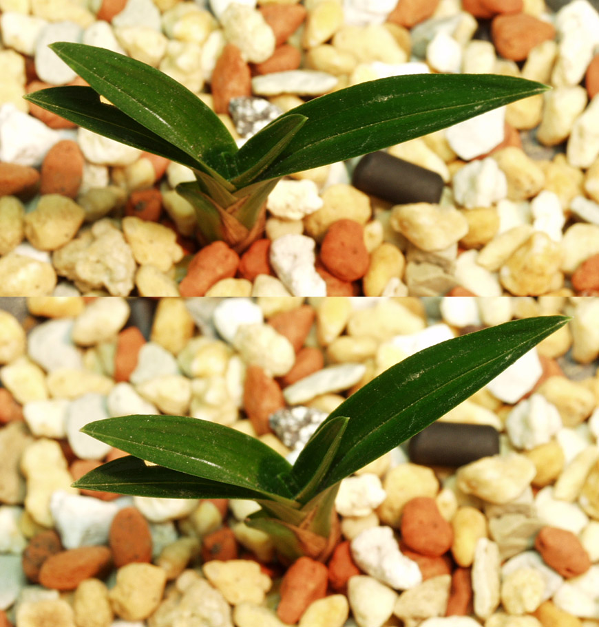 ������ ū������ �� �� �ֽ��ϴ�.