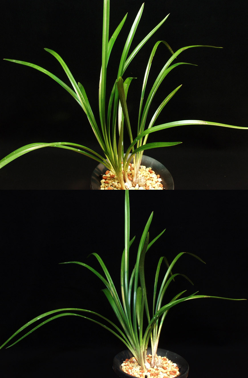 ������ ū������ �� �� �ֽ��ϴ�.