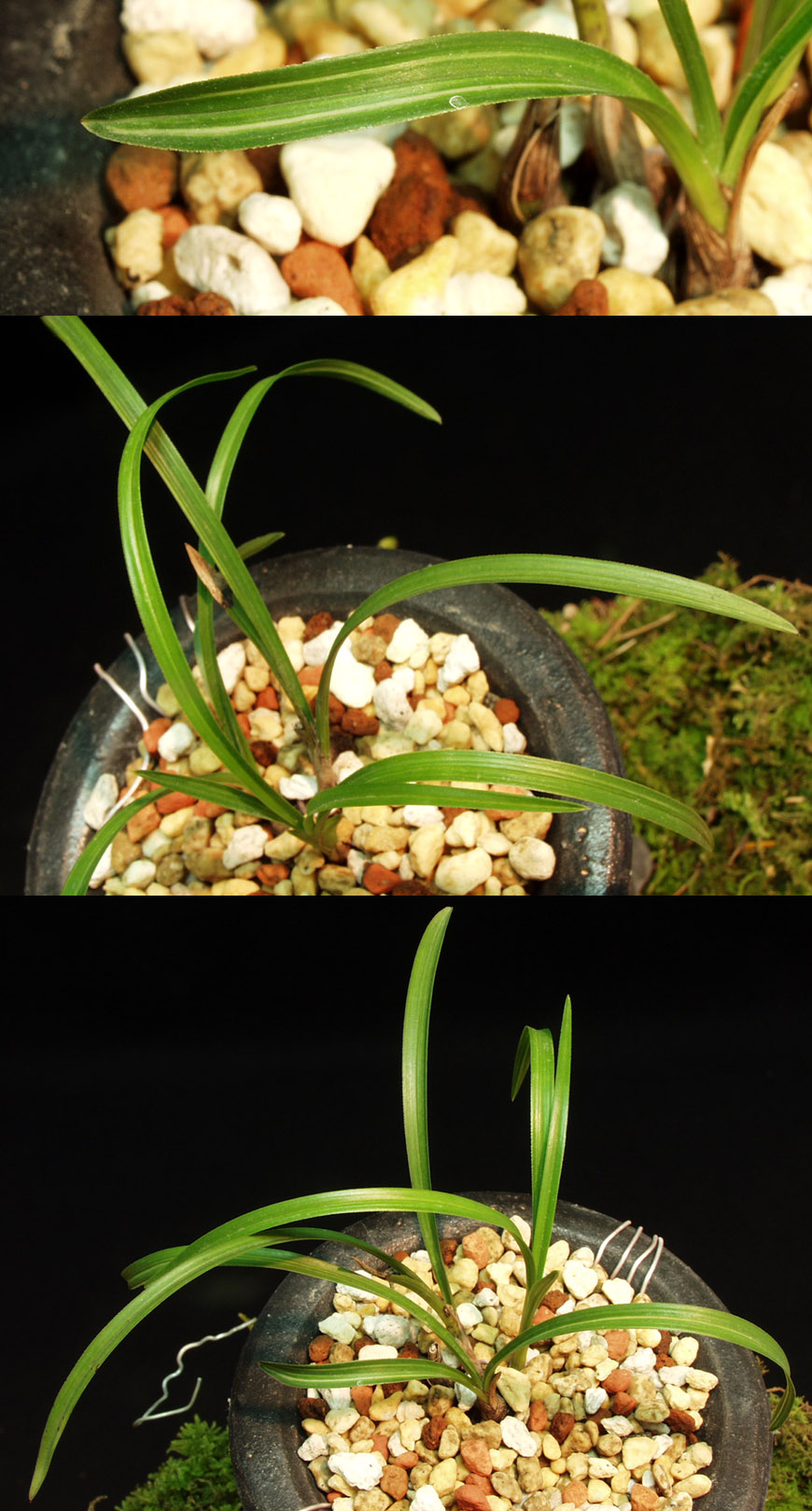 ������ ū������ �� �� �ֽ��ϴ�.