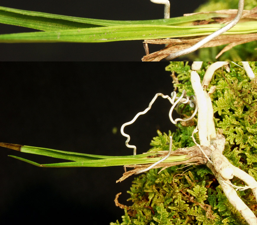 ������ ū������ �� �� �ֽ��ϴ�.