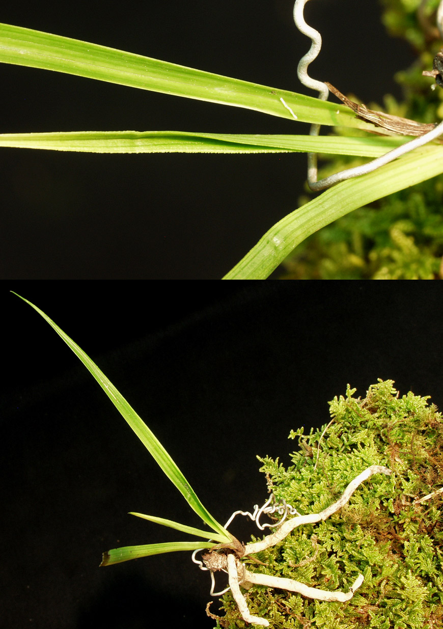 ������ ū������ �� �� �ֽ��ϴ�.