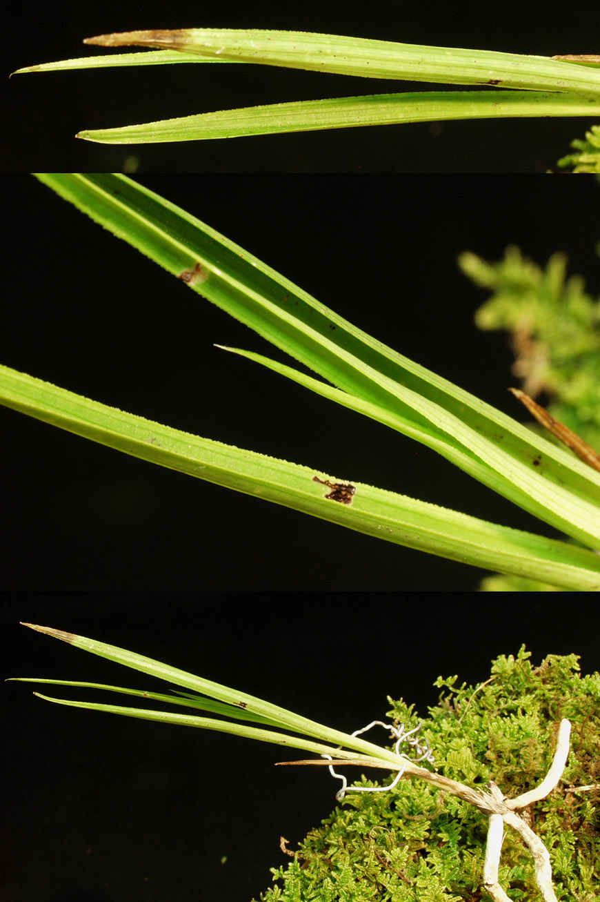 ������ ū������ �� �� �ֽ��ϴ�.