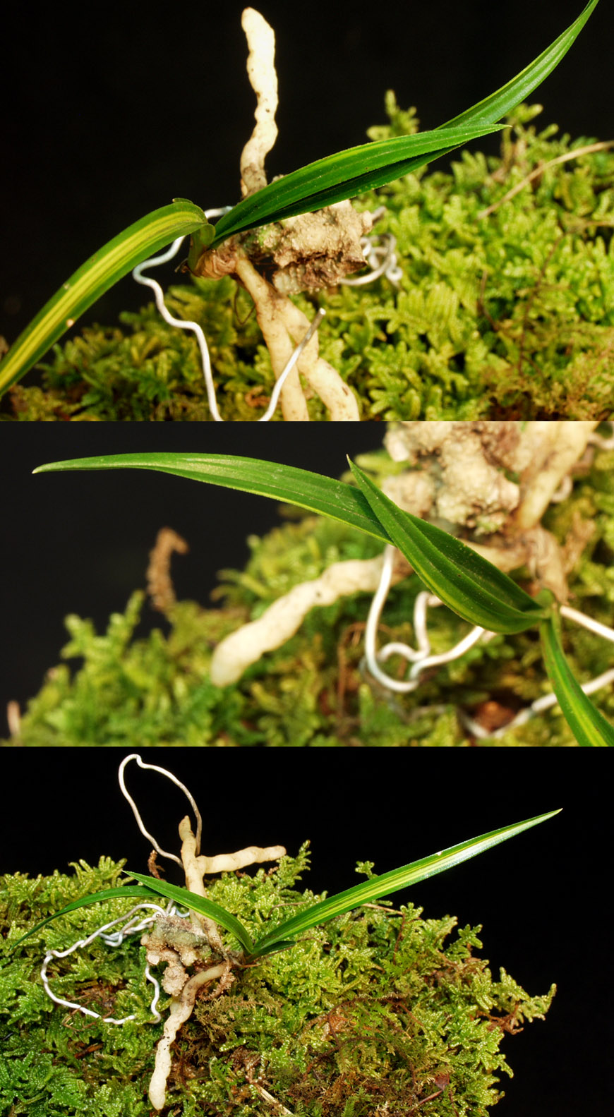 ������ ū������ �� �� �ֽ��ϴ�.