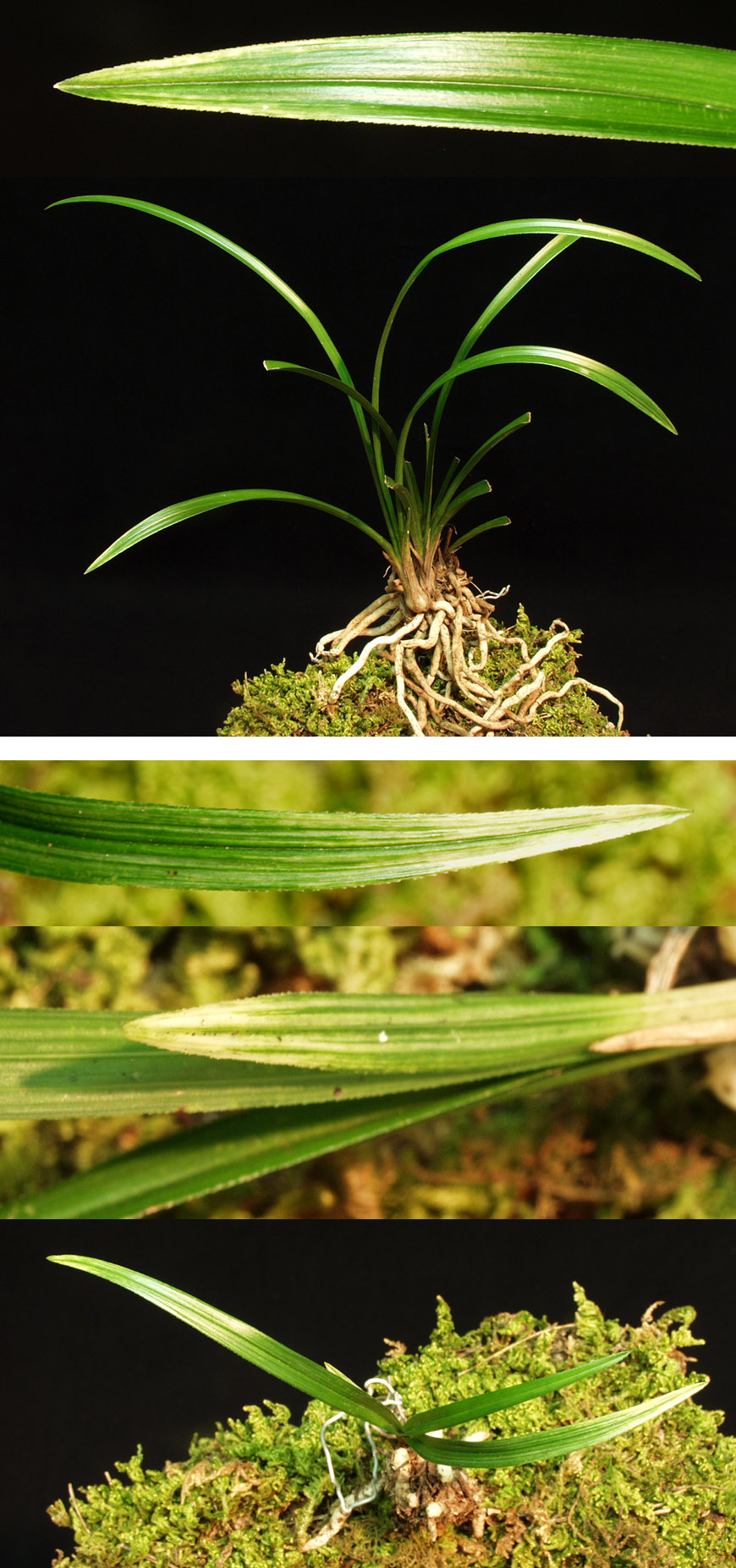 ������ ū������ �� �� �ֽ��ϴ�.