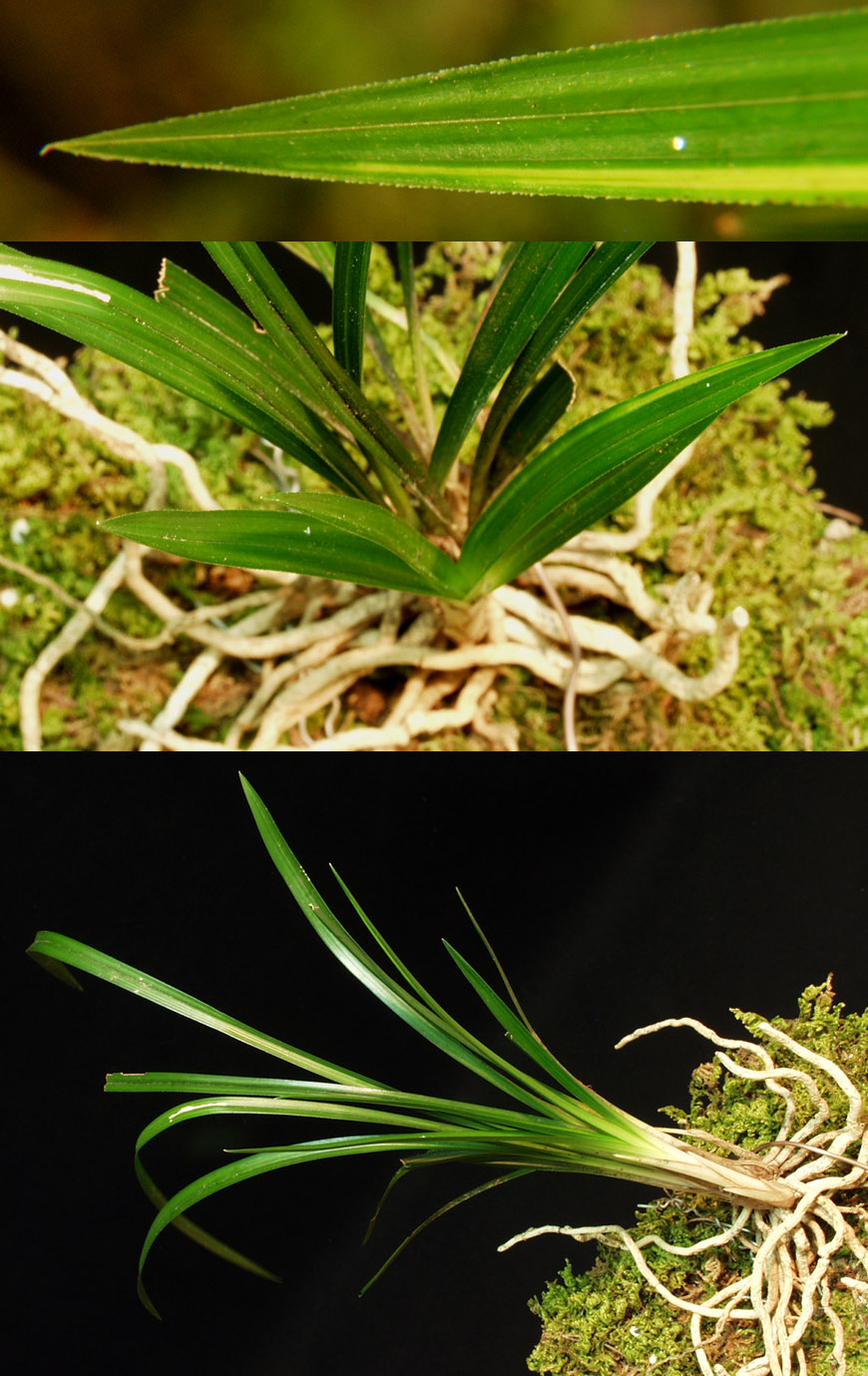 ������ ū������ �� �� �ֽ��ϴ�.