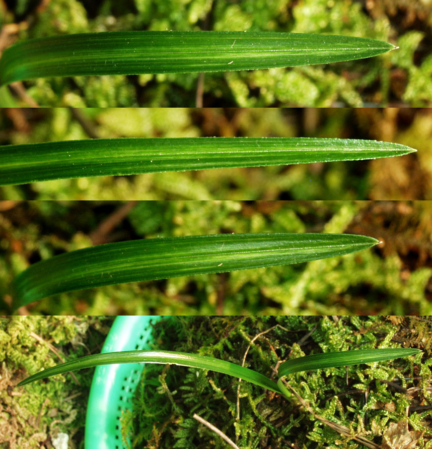 ������ ū������ �� �� �ֽ��ϴ�.