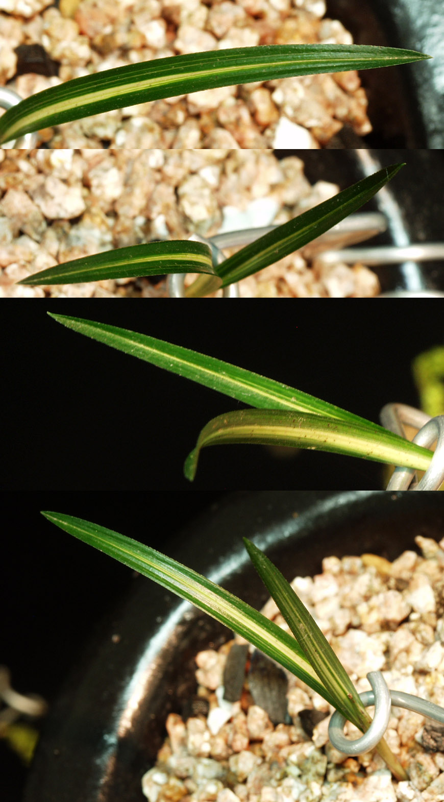 ������ ū������ �� �� �ֽ��ϴ�.