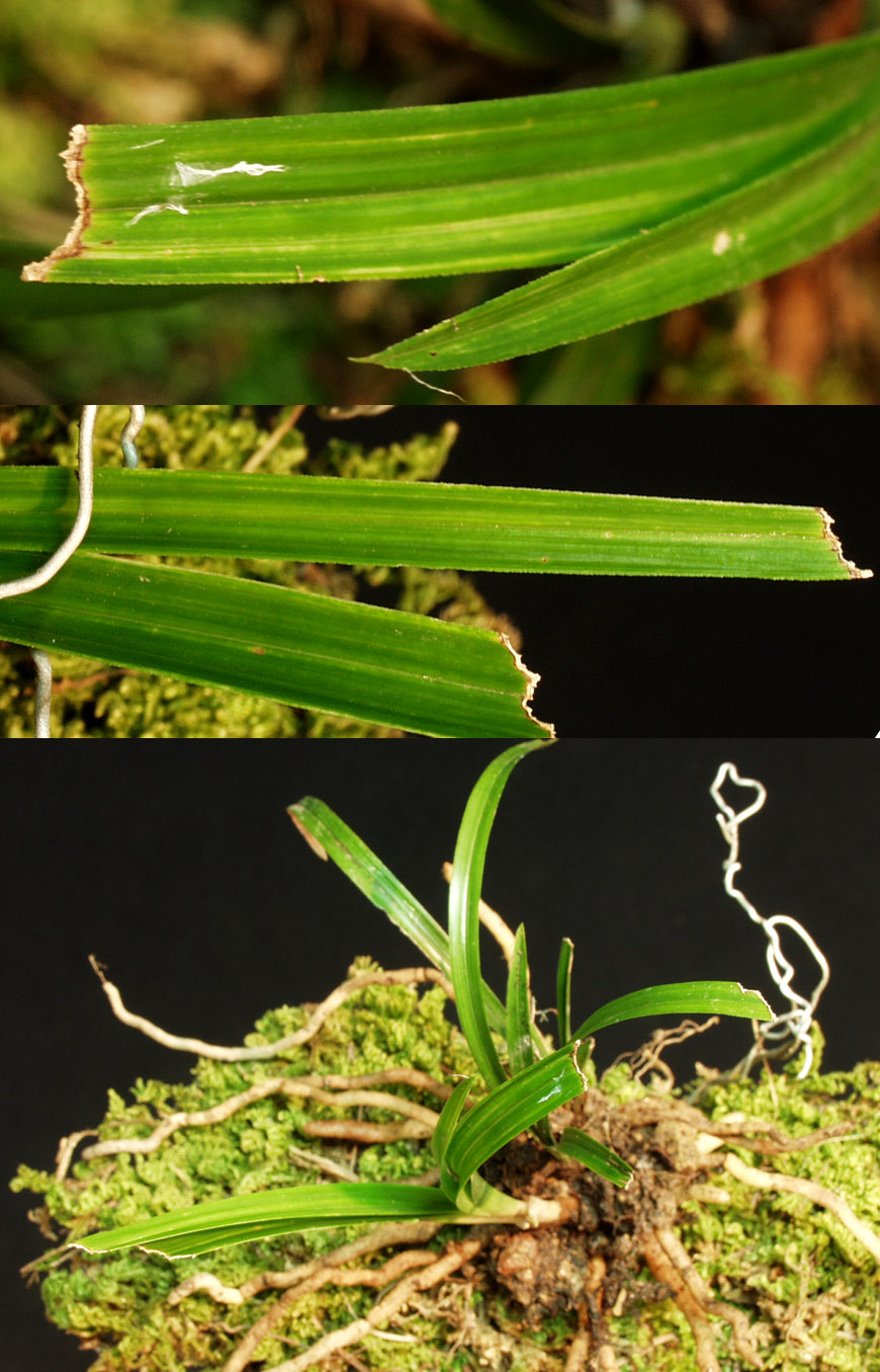 ������ ū������ �� �� �ֽ��ϴ�.