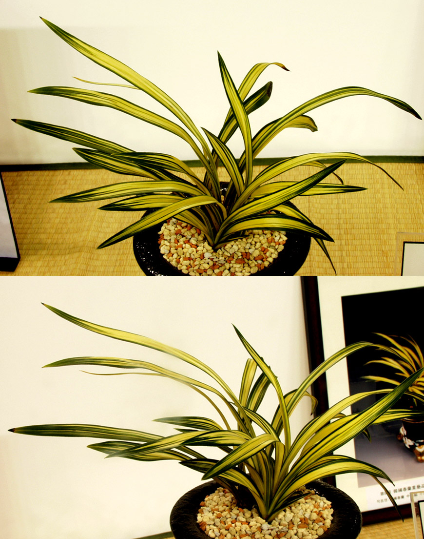 ������ ū������ �� �� �ֽ��ϴ�.