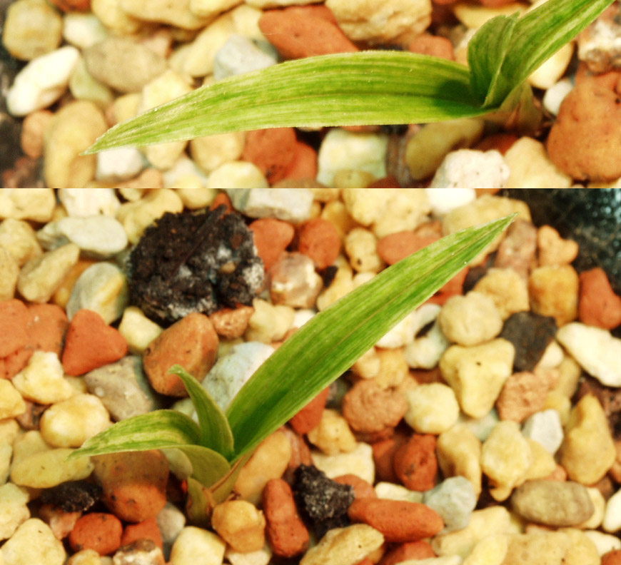 ������ ū������ �� �� �ֽ��ϴ�.