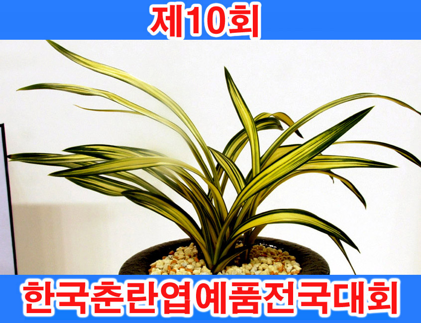 ������ ū������ �� �� �ֽ��ϴ�.