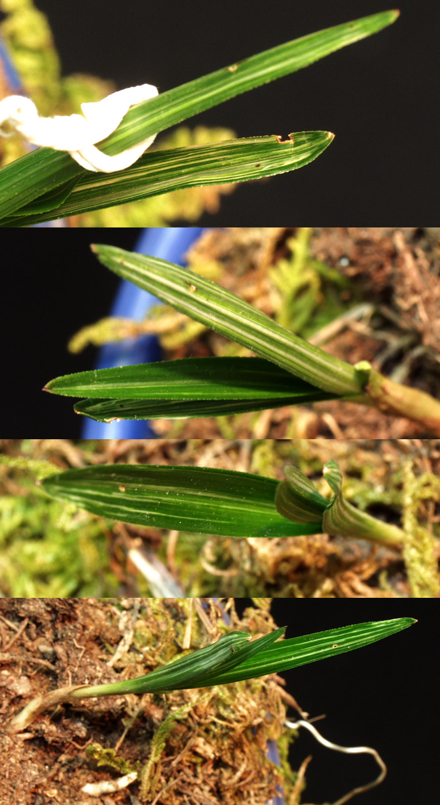 ������ ū������ �� �� �ֽ��ϴ�.