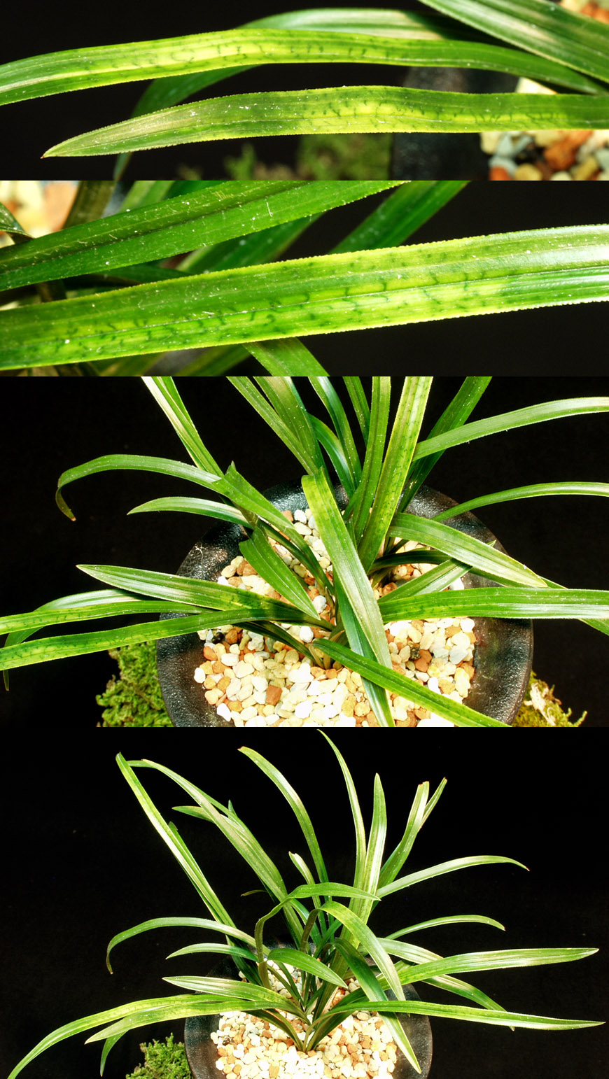 ������ ū������ �� �� �ֽ��ϴ�.