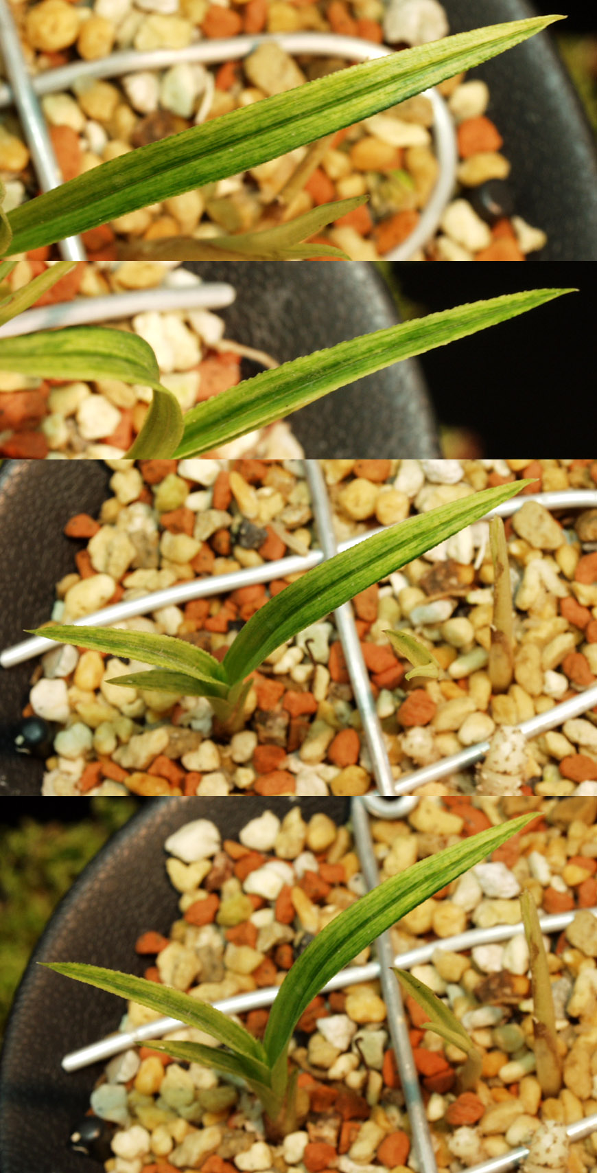 ������ ū������ �� �� �ֽ��ϴ�.