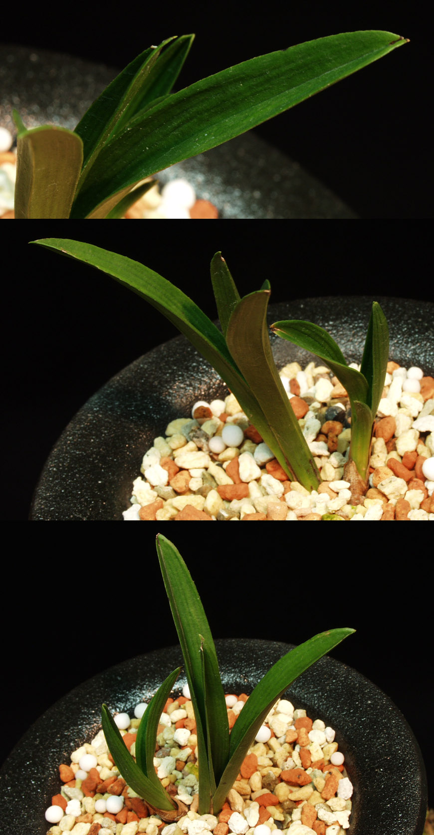 ������ ū������ �� �� �ֽ��ϴ�.