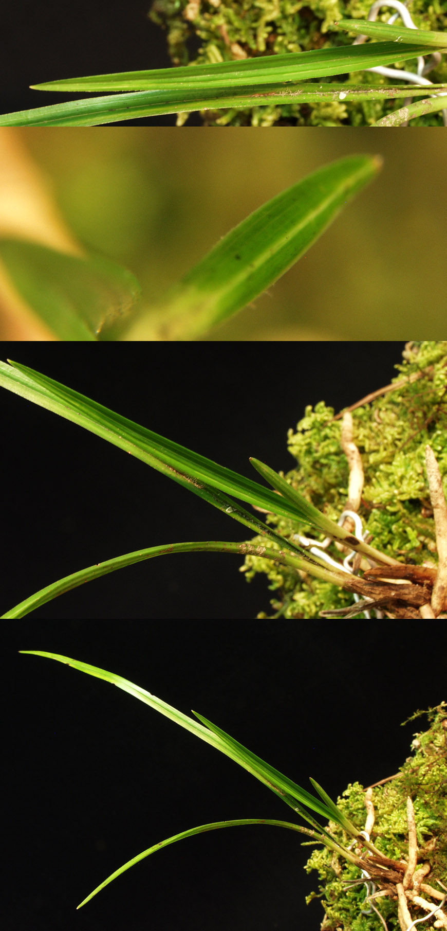 ������ ū������ �� �� �ֽ��ϴ�.