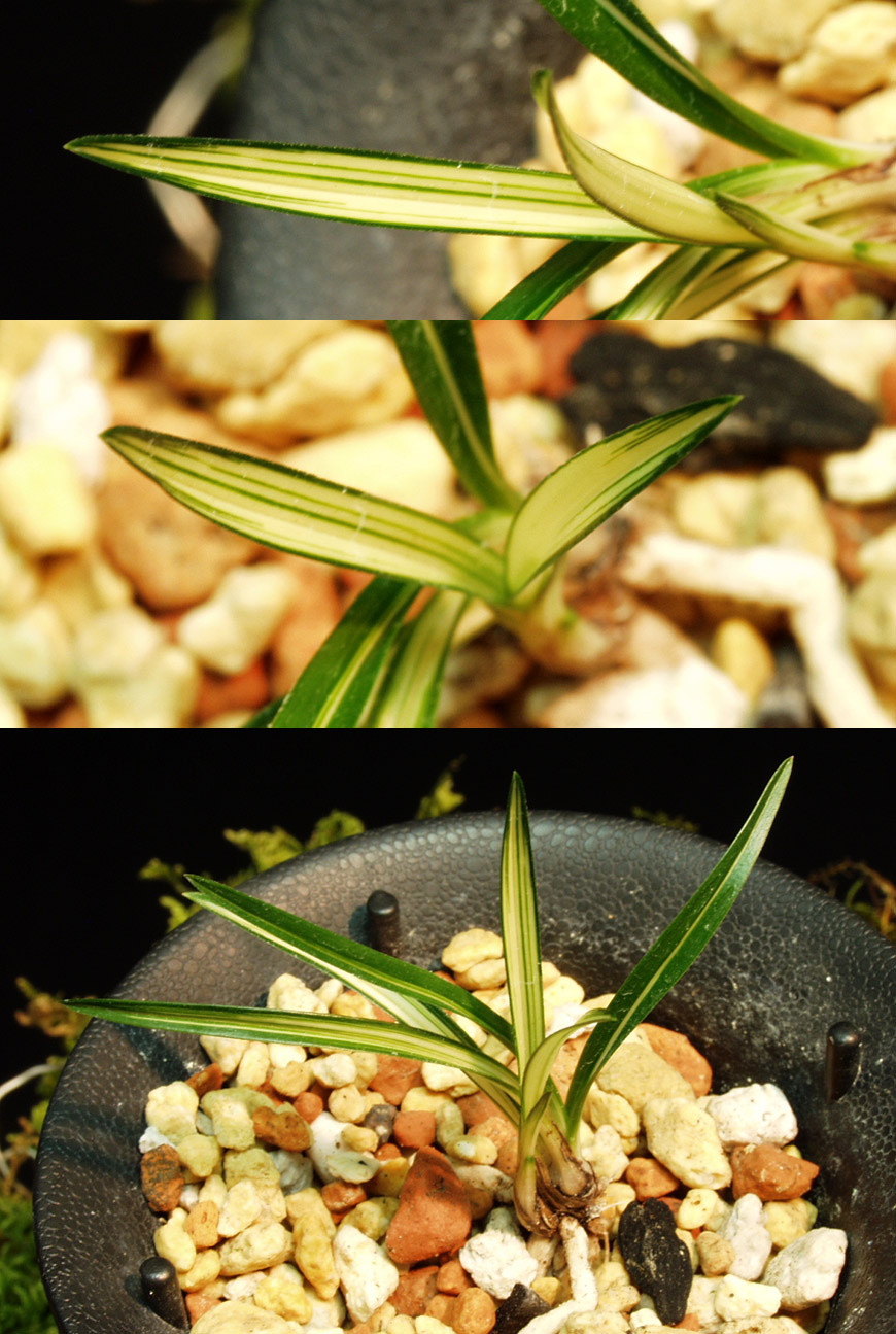 ������ ū������ �� �� �ֽ��ϴ�.