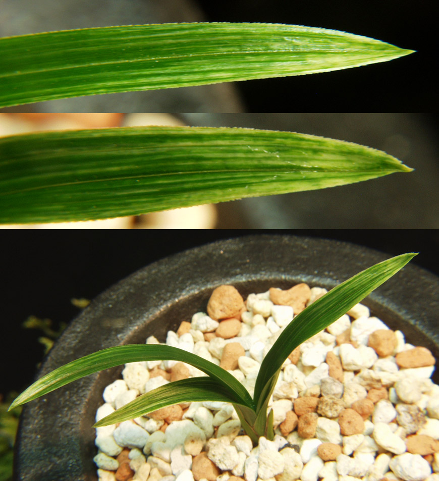 ������ ū������ �� �� �ֽ��ϴ�.