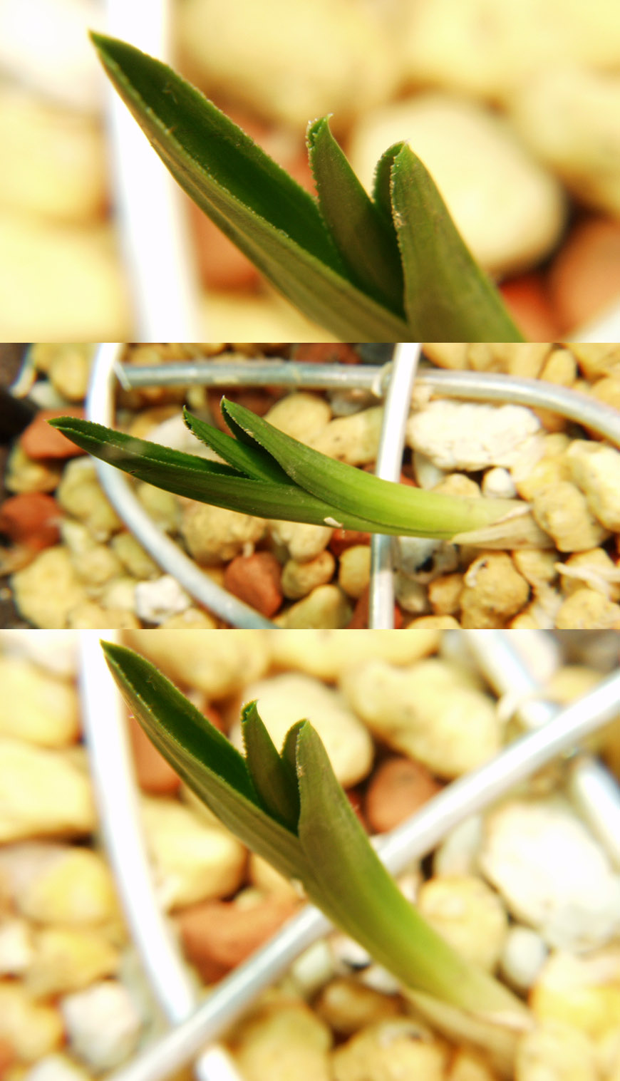 ������ ū������ �� �� �ֽ��ϴ�.