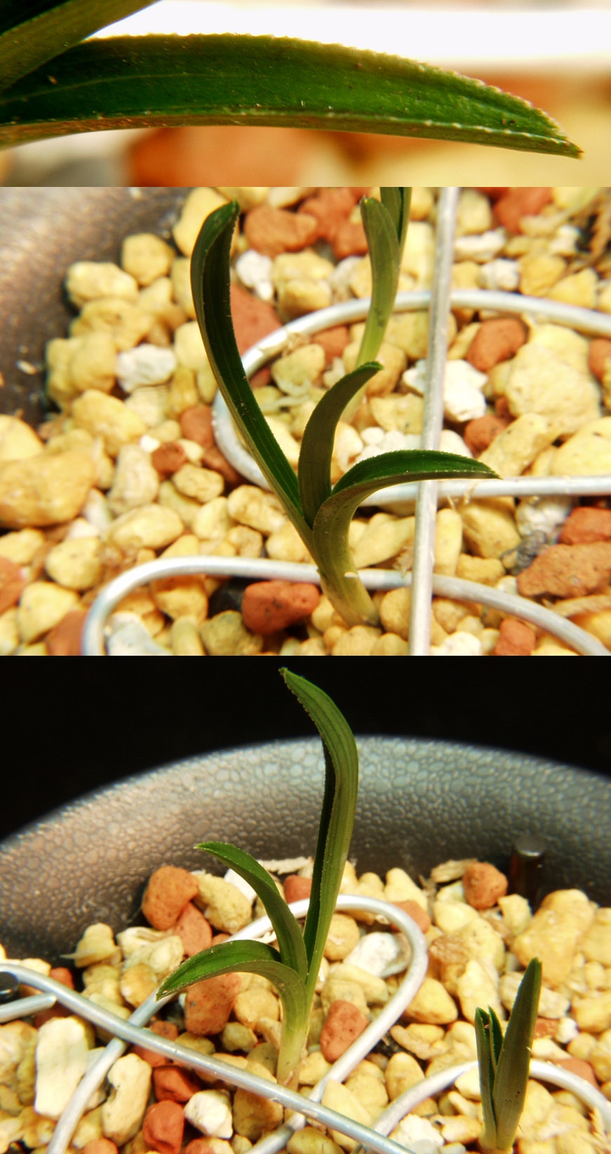 ������ ū������ �� �� �ֽ��ϴ�.