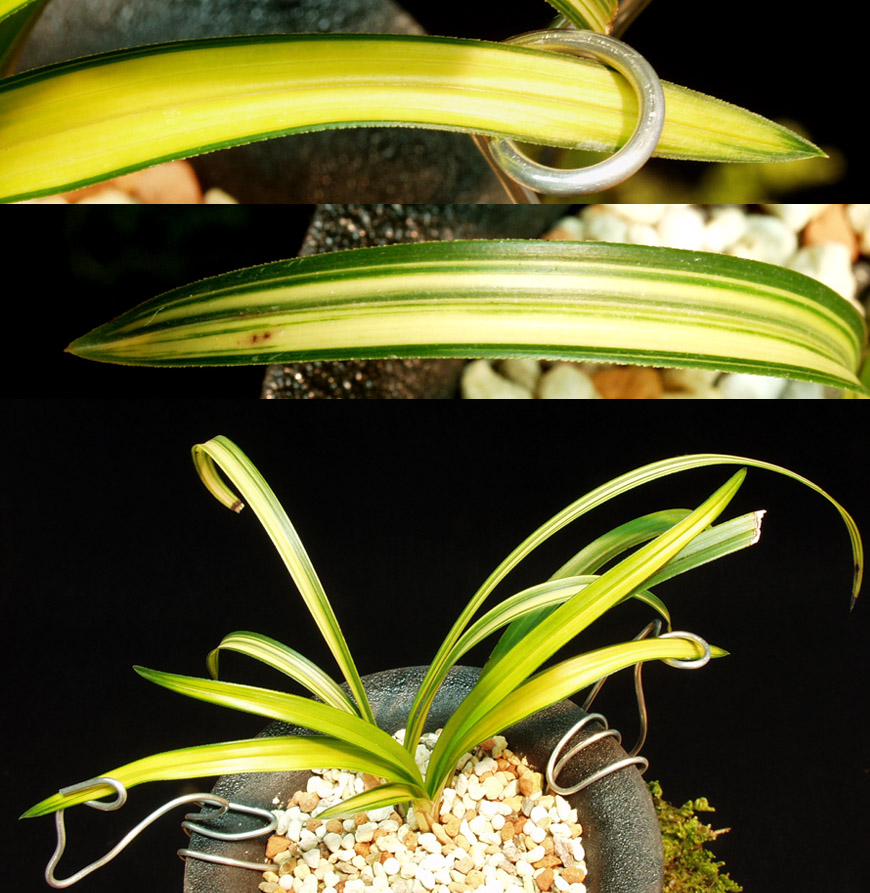 ������ ū������ �� �� �ֽ��ϴ�.