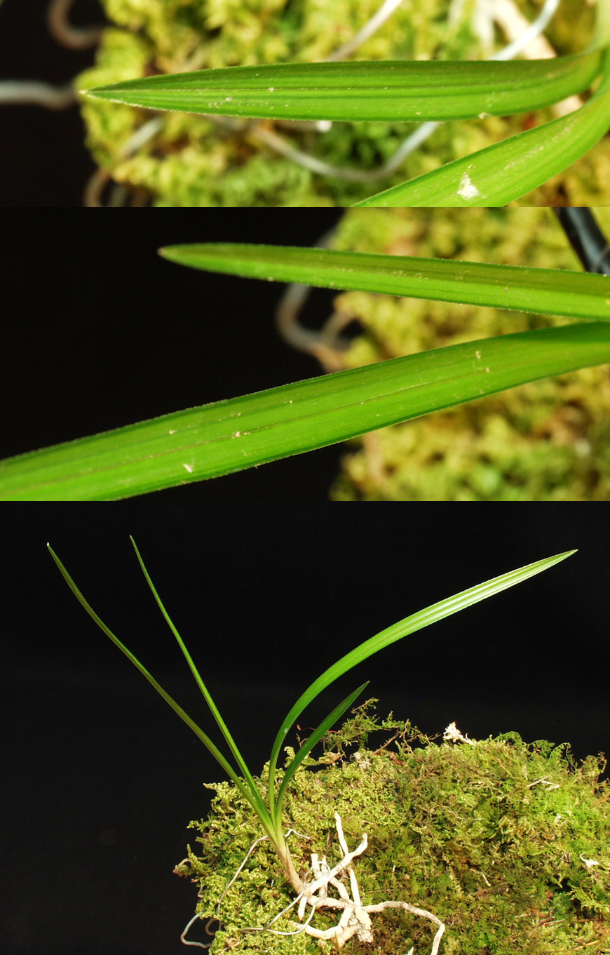 ������ ū������ �� �� �ֽ��ϴ�.