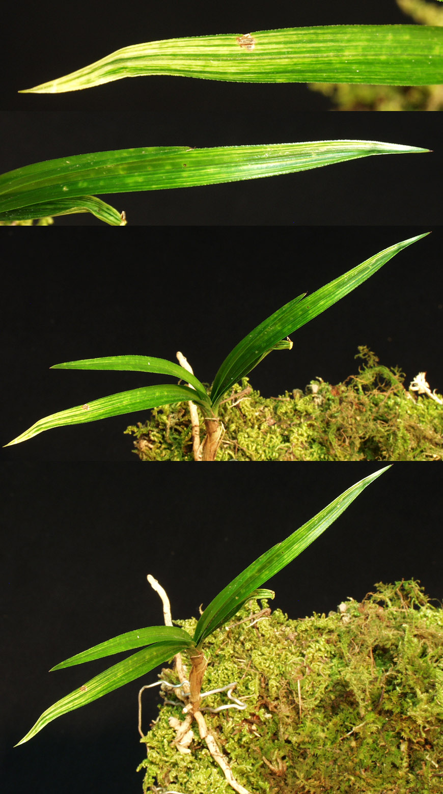 ������ ū������ �� �� �ֽ��ϴ�.