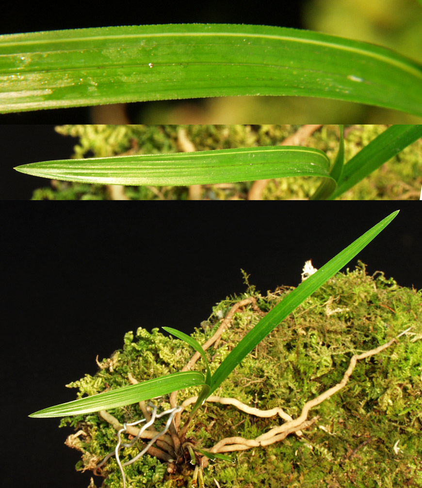 ������ ū������ �� �� �ֽ��ϴ�.