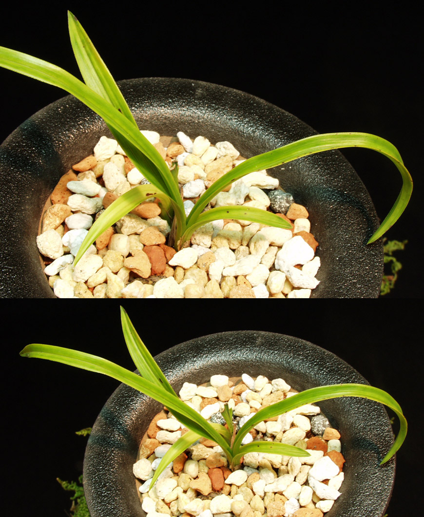 ������ ū������ �� �� �ֽ��ϴ�.