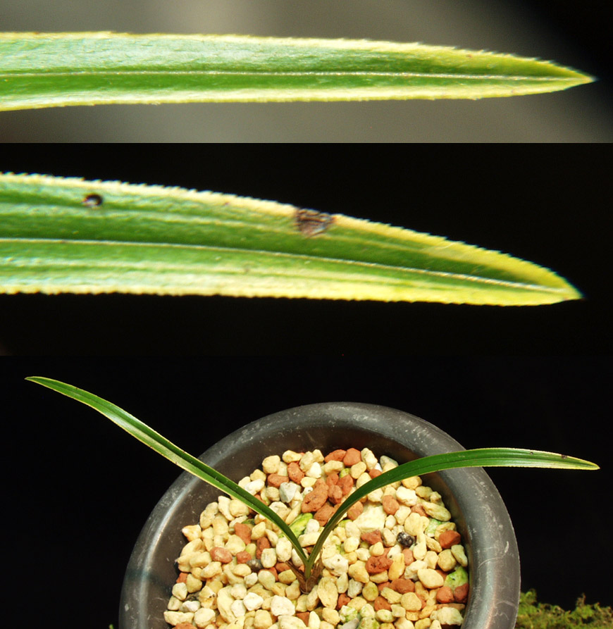 ������ ū������ �� �� �ֽ��ϴ�.