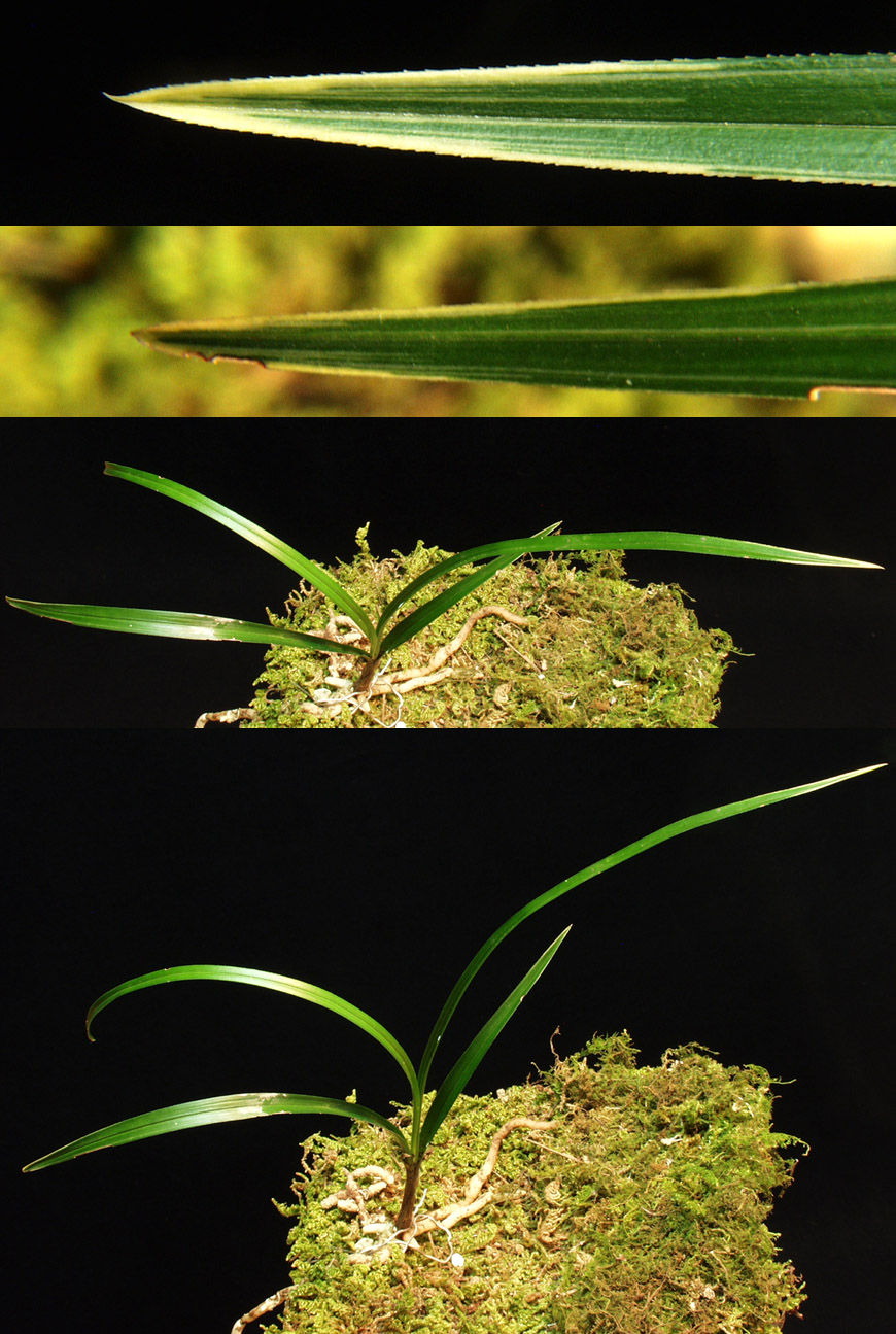 ������ ū������ �� �� �ֽ��ϴ�.