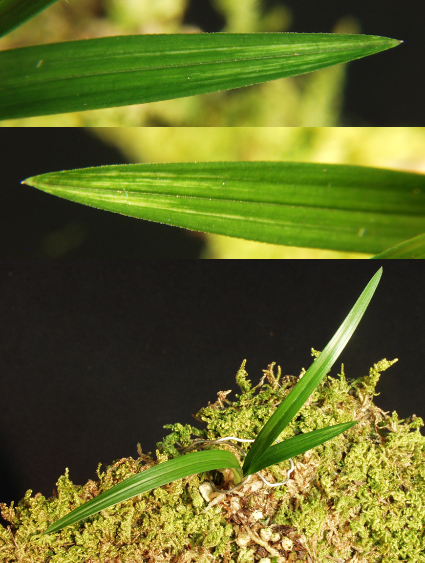 ������ ū������ �� �� �ֽ��ϴ�.