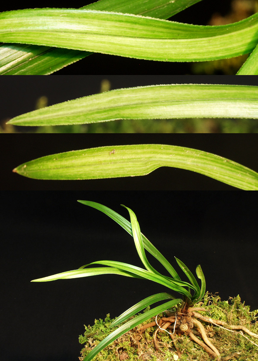 ������ ū������ �� �� �ֽ��ϴ�.