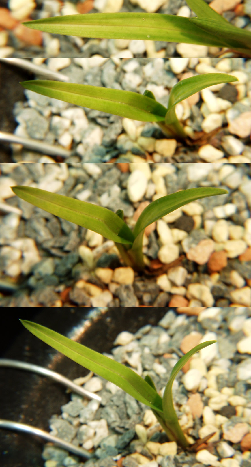 ������ ū������ �� �� �ֽ��ϴ�.