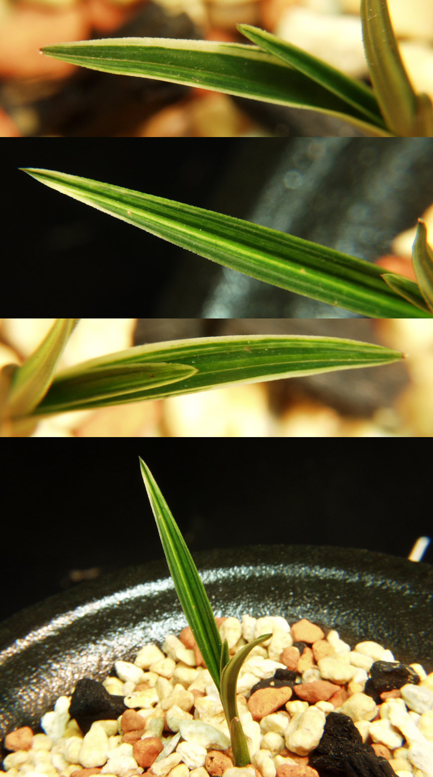 ������ ū������ �� �� �ֽ��ϴ�.