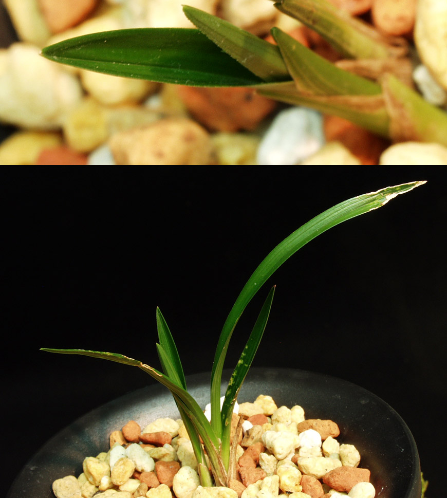 ������ ū������ �� �� �ֽ��ϴ�.