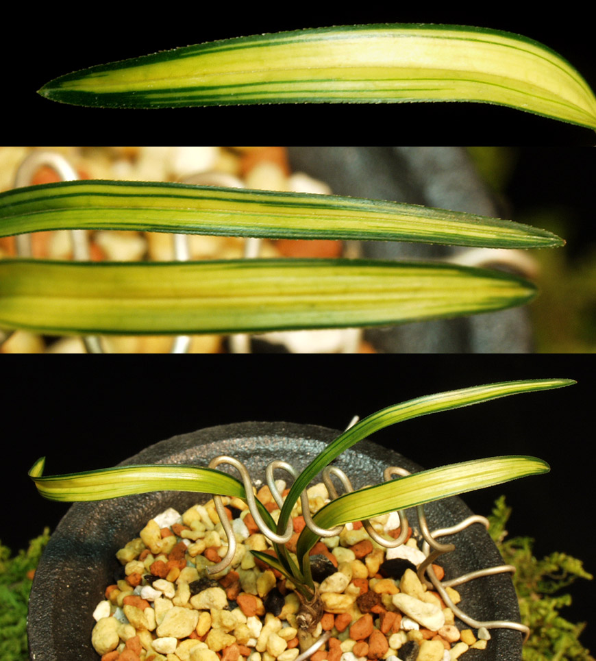 ������ ū������ �� �� �ֽ��ϴ�.