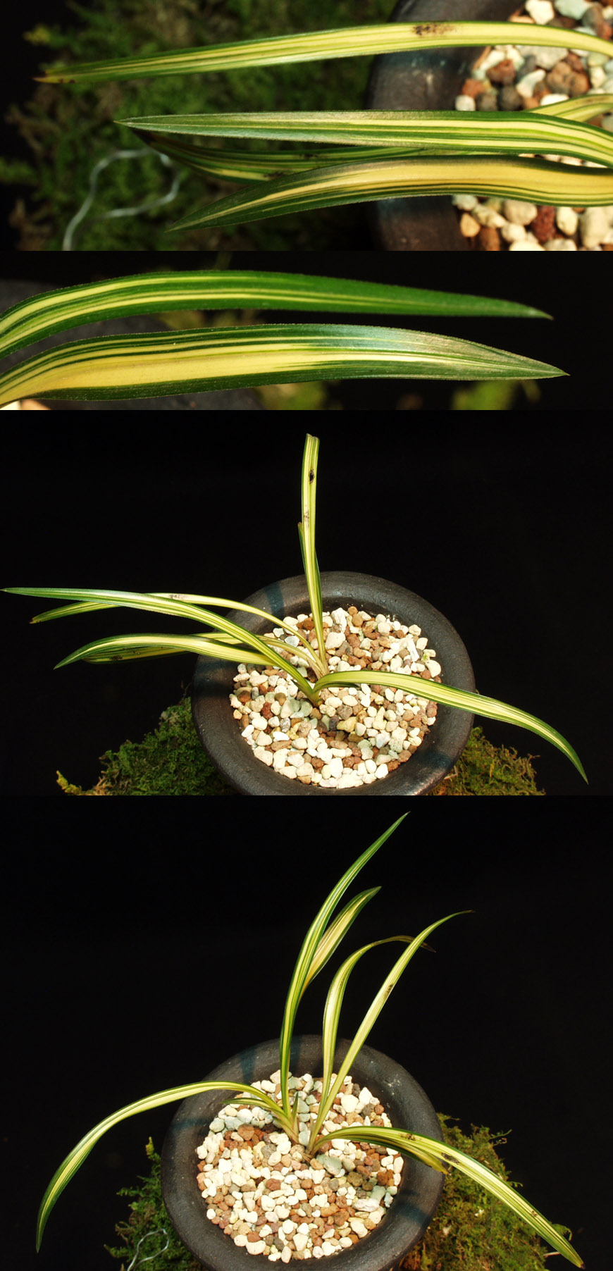 ������ ū������ �� �� �ֽ��ϴ�.