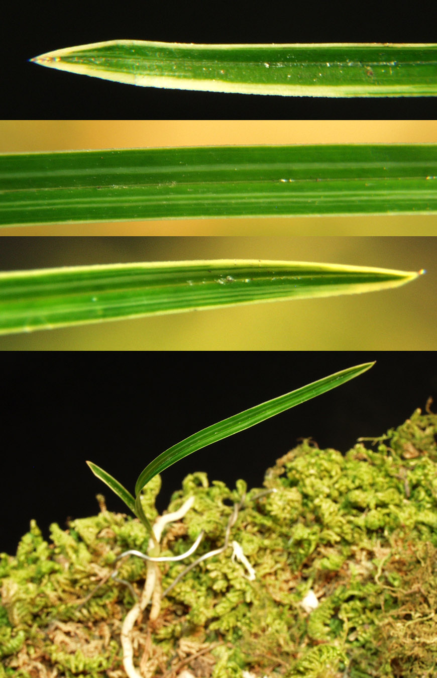 ������ ū������ �� �� �ֽ��ϴ�.