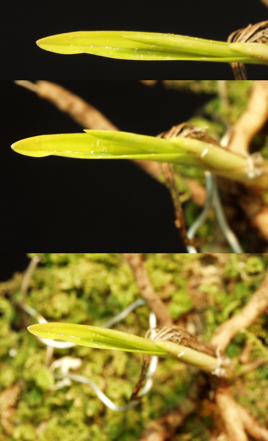 ������ ū������ �� �� �ֽ��ϴ�.