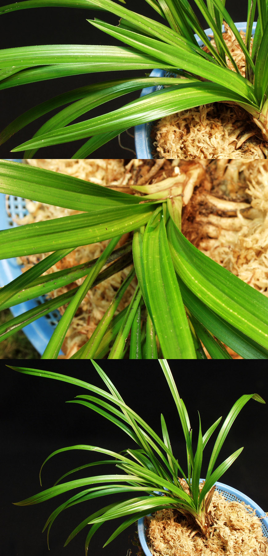 ������ ū������ �� �� �ֽ��ϴ�.