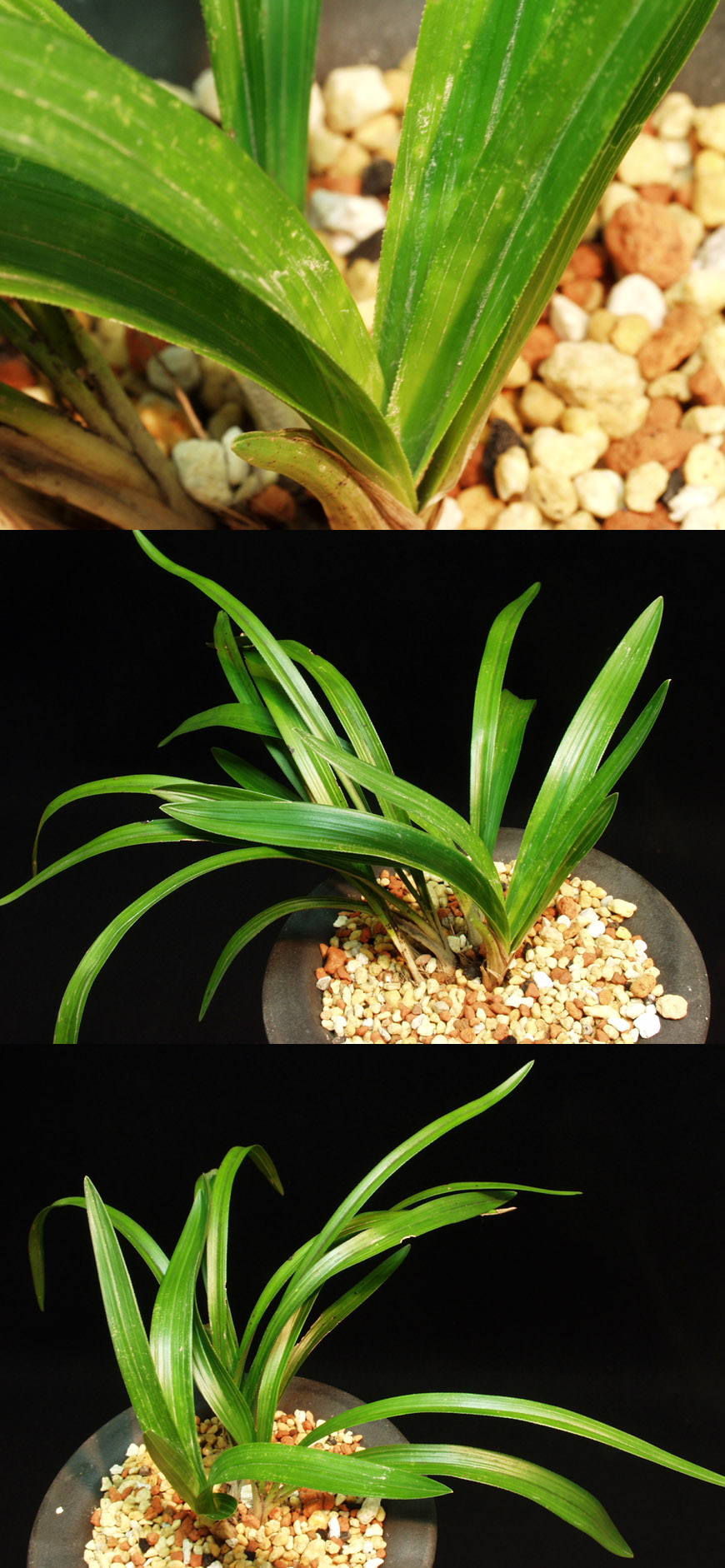 ������ ū������ �� �� �ֽ��ϴ�.