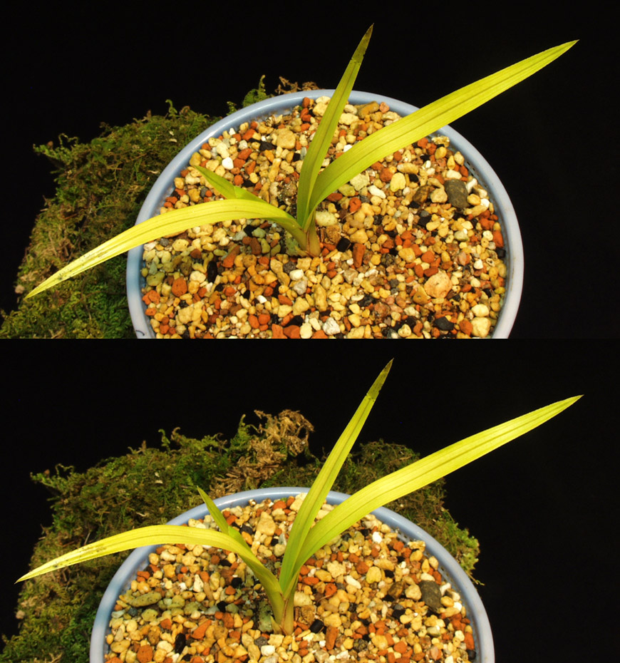 ������ ū������ �� �� �ֽ��ϴ�.