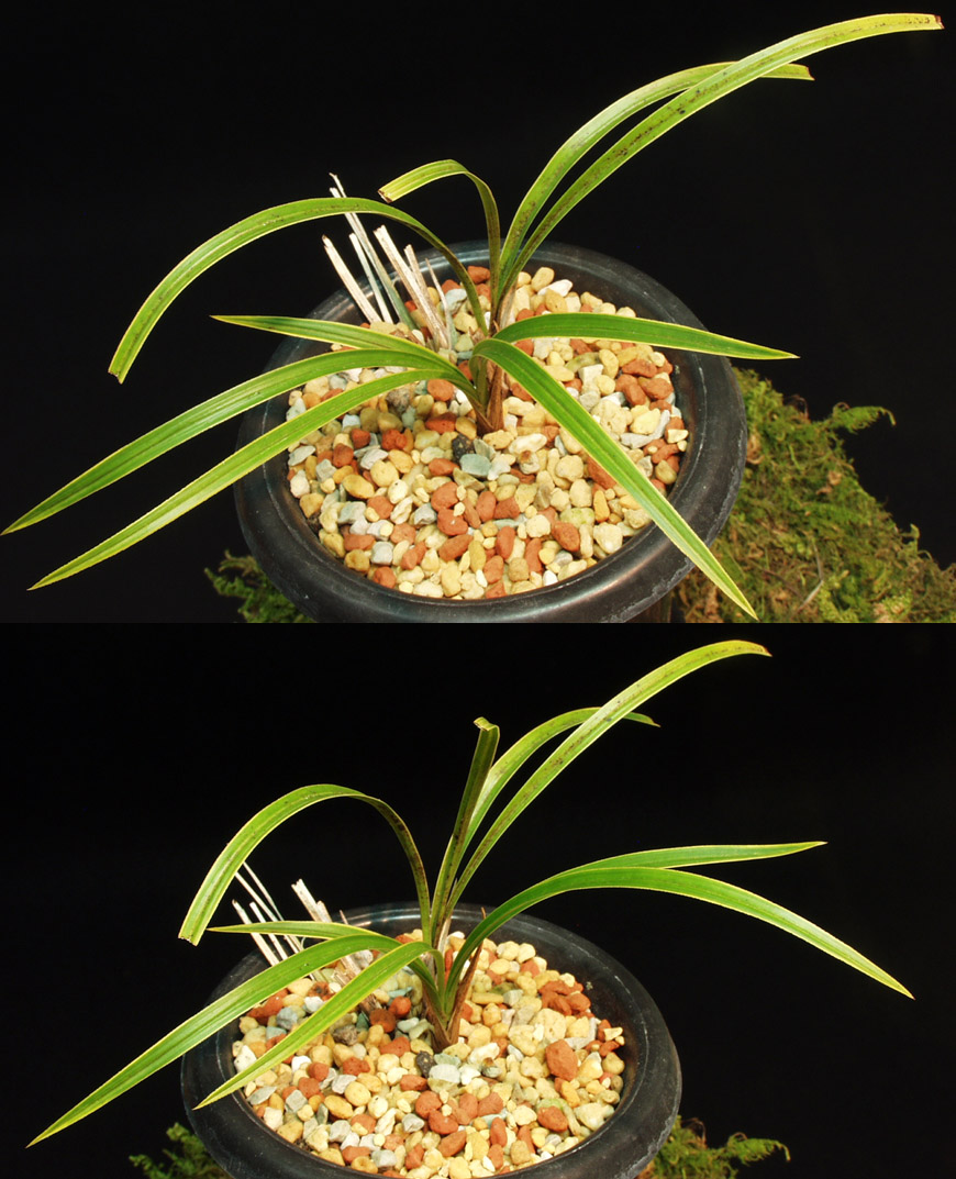 ������ ū������ �� �� �ֽ��ϴ�.